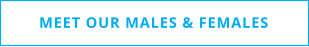 MEET OUR MALES & FEMALES