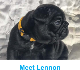 Meet Lennon