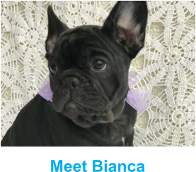 Meet Bianca