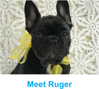 Meet Ruger
